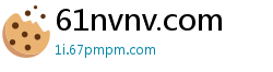 61nvnv.com
